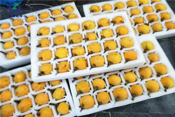 定做枇杷托的材料是環(huán)保的嗎？