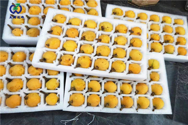 珍珠棉水果托定做，就找五周泡綿