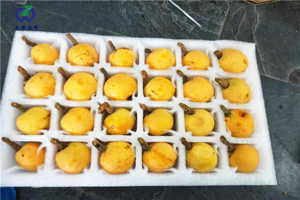 水果內(nèi)托的定做材料對(duì)人體有害嗎？